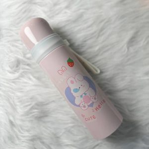 فلاسک دیزنی لند